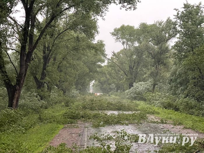 Весь ужас вчерашнего урагана в Великих Луках и районе (ФОТО, ВИДЕО)
