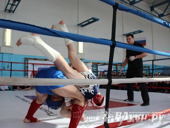 Чемпионат Псковской области по ММА