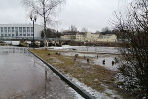 © ВЛуки.ру