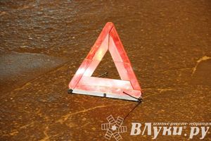 Фото из архива ГУ МЧС России по Псковской области