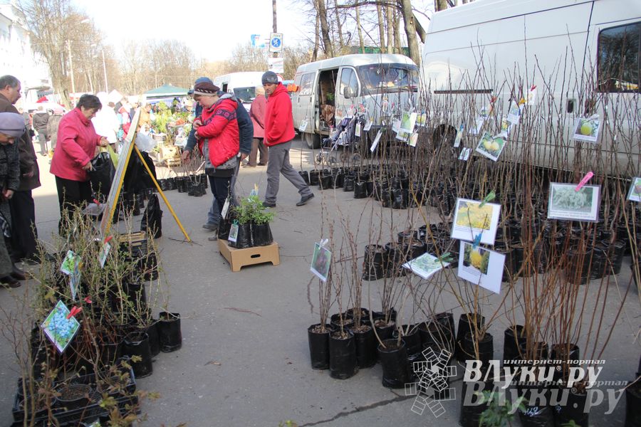 Универсальная торговая ярмарка «Весна-2015» прошла в Великих Луках (фото)