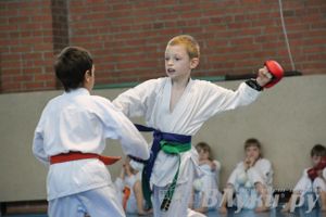 Турнир по каратэ «Неприкосновенный запас — дети Отчизны»