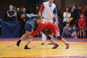 Великолучане завоевали награды турнира по самбо «Память» (ФОТО)