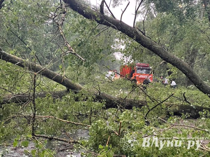 Весь ужас вчерашнего урагана в Великих Луках и районе (ФОТО, ВИДЕО)