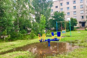 Великолучан беспокоит озеро во дворе дома (ФОТО)