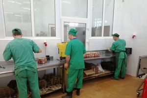 Самый манящий павильон (ФОТО)