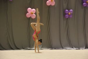 В Великих Луках завершился первый день соревнований Открытого Первенства города по художественной гимнастике (ФОТО) (0+))