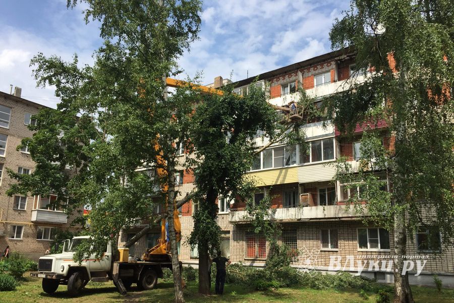 Небезразличные великолучане помогают убрать город после урагана (ФОТО)