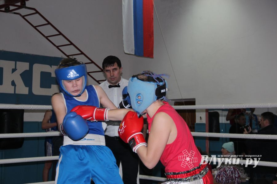 Открытое первенство по боксу прошло в Великих Луках (ФОТО)