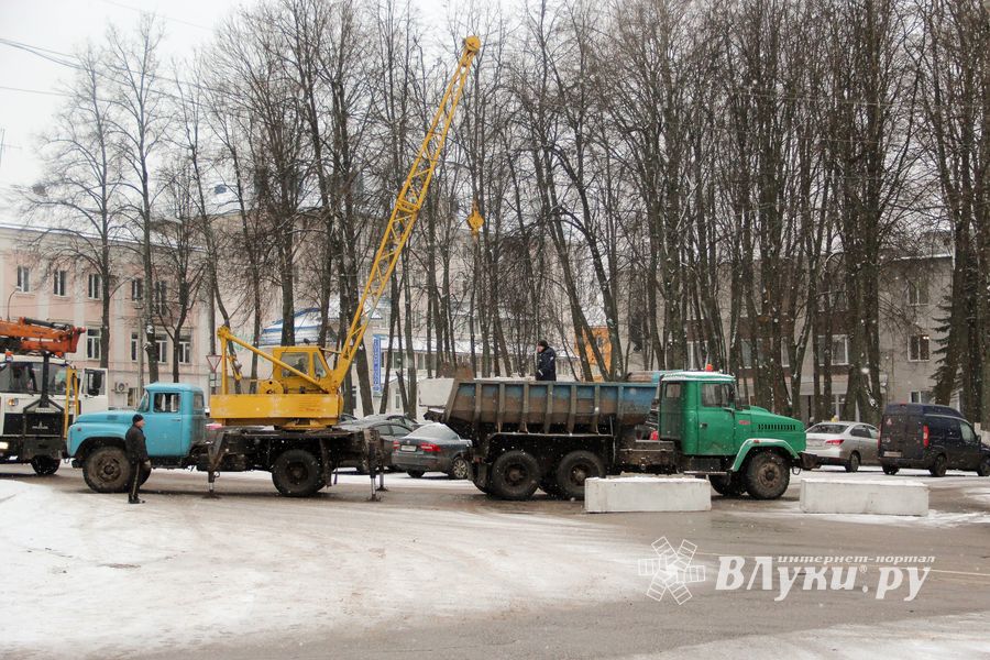 Ёлочка приехала! (ФОТО)