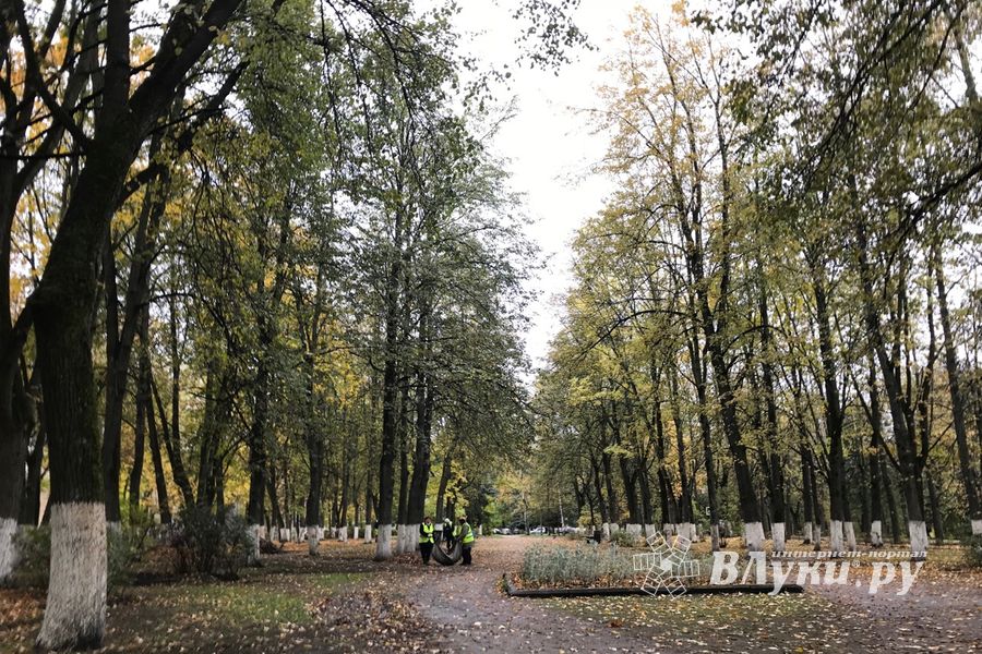 Роща «отряхает» — коммунальщики убирают (ФОТО)