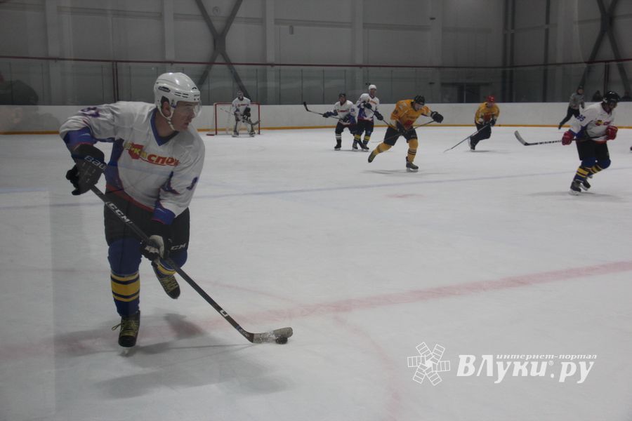 Определилась команда, которая будет представлять город на Кубке области по хоккею (ФОТО)