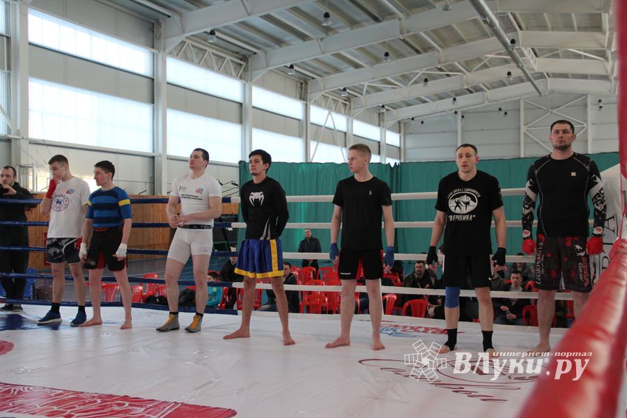 В Великих Луках завершился открытый кубок по смешанному боевому единоборству ММА (ФОТО)