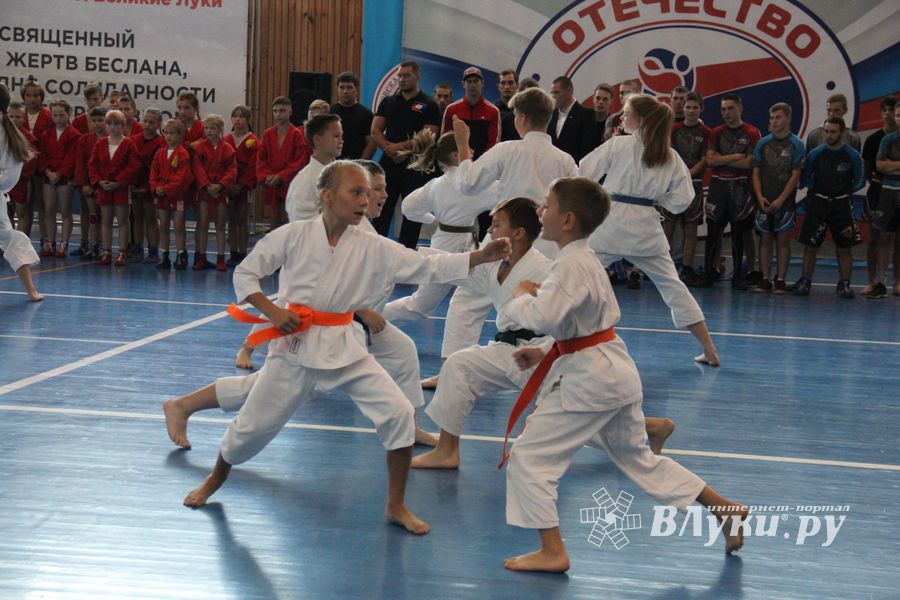 1-й Фестиваль боевых искусств состоялся в Великих Луках  (ФОТО)