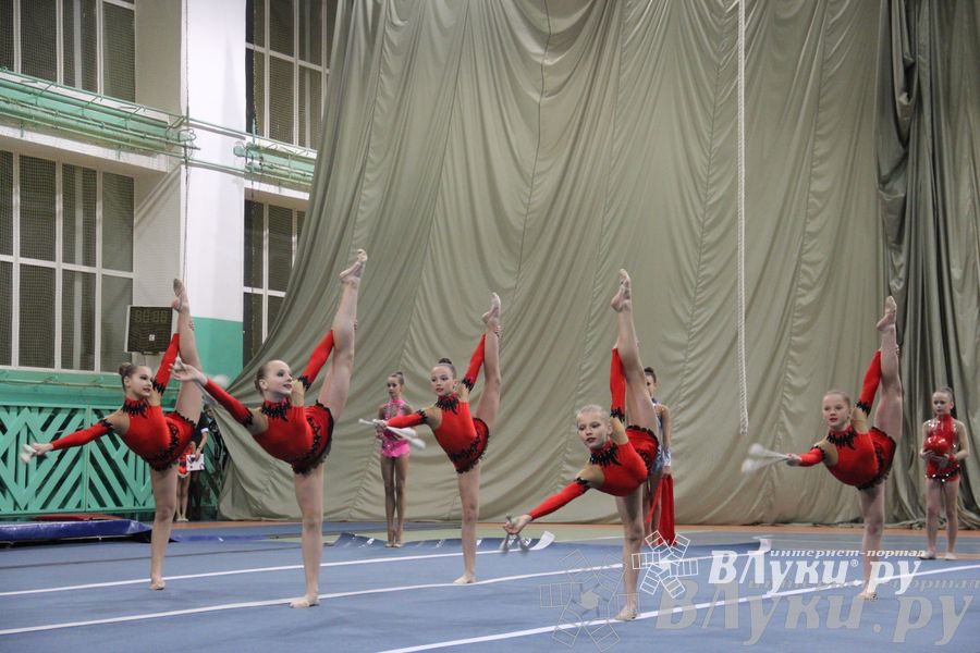 «Парад гимнастики» прошел в Великих Луках (фото)