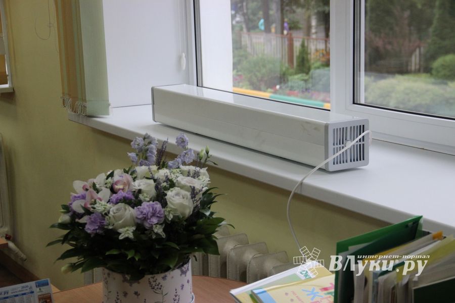 Великолукские школы готовы к атаке COVID-19