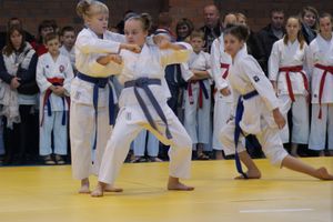 В Великих Луках прошли соревнования по каратэ (ФОТО)