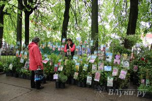 В Пскове проходит 22-ая универсальная выставка (фото)
