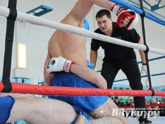 Чемпионат Псковской области по ММА