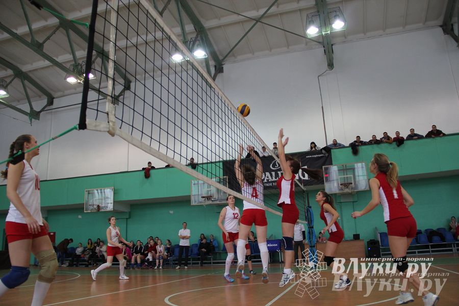 В Великих Луках прошли международные соревнования по волейболу (фото)