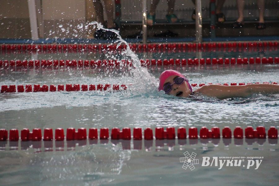 В Великих Луках прошло Первенство города по плаванию (ФОТО)