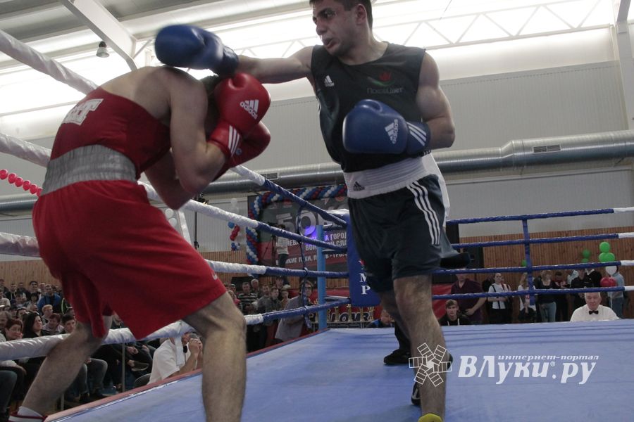 Матчевая встреча по боксу Великие Луки —Псков — Грозный (ФОТО)