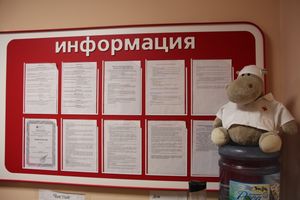 А вы задумались о здоровье своего сердца? (ФОТО + ВИДЕО)