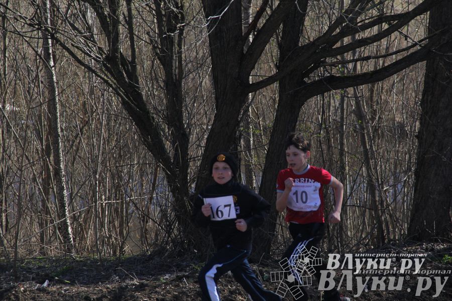 Весенний кросс