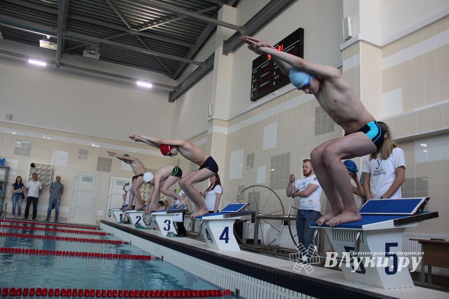 В «Айсберге» прошло Первенство города по плаванию (ФОТО)