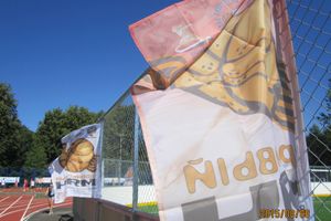 День физкультурника (фото).