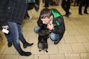 Всероссийская выставка собак в Великих Луках (фото)