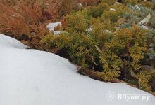 Сегодня в Великих Луках возможен небольшой снег с дождём