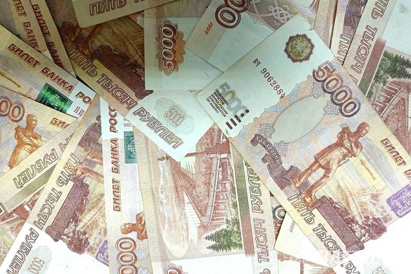 В Псковской области принят бюджет на 2025 год и плановый двухлетний период