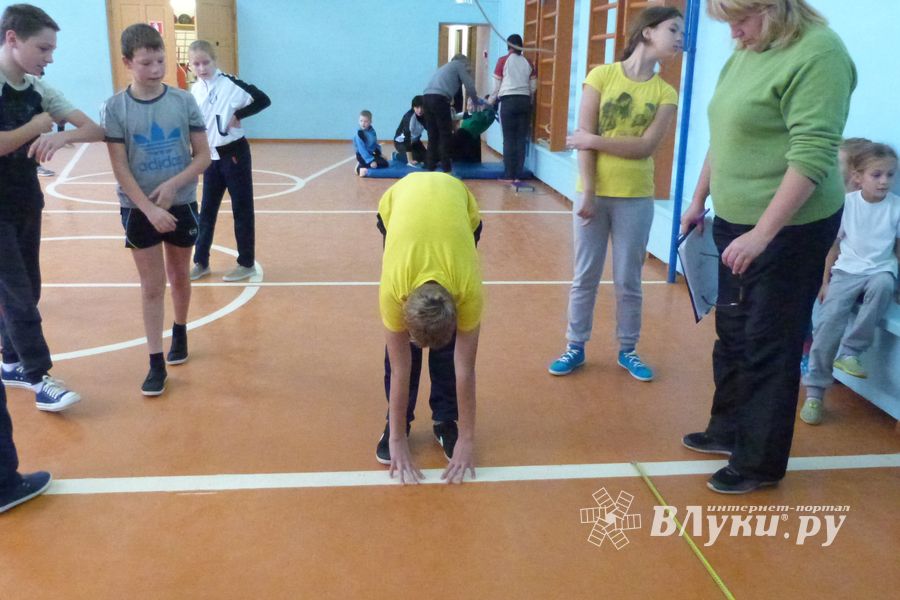 В Великолукском районе более 500 школьников выполнили нормы ГТО (ФОТО)