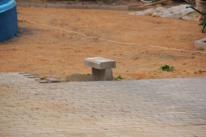 В Великих Луках сажают, стригут и красят (ФОТО)