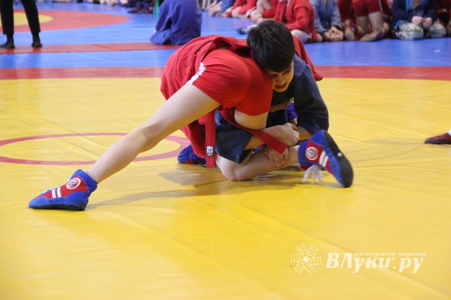 В Великих Луках проходит фестиваль (ФОТО)