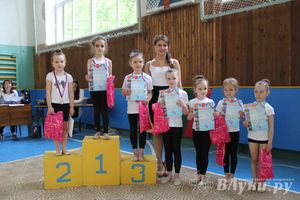 В Великих Луках прошло Первенство по художественной гимнастике (фото)