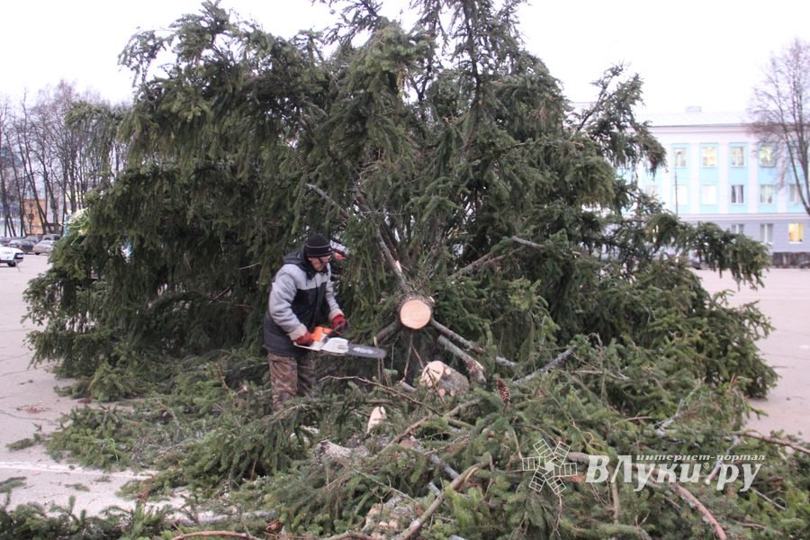 Необычное украшение сняли с главной ёлки Великих Лук (ФОТО)
