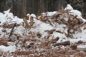 В Великих Луках ведется строительство центра по подготовке велосипедистов (ФОТО)