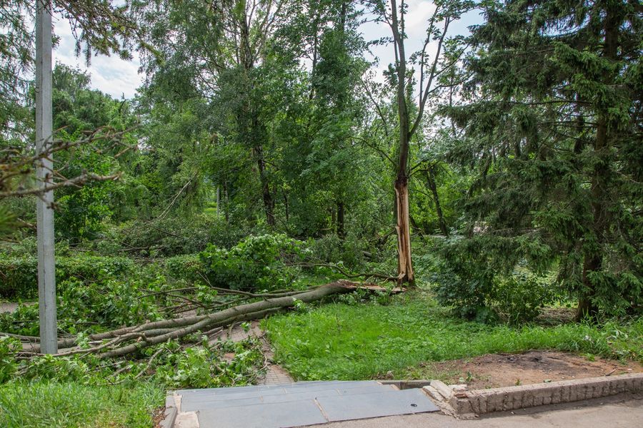 Небезразличные великолучане помогают убрать город после урагана (ФОТО)