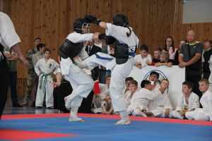 1-й Фестиваль боевых искусств состоялся в Великих Луках  (ФОТО)