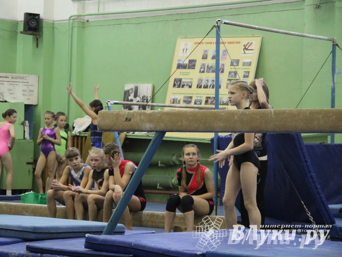 В Великих Луках состоялось  Первенство города по спортивной гимнастике (фото)