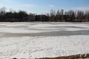 Весенний день