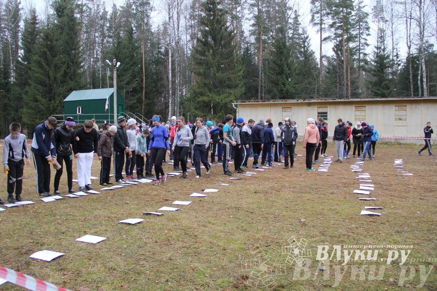 «Великолукский Марафон-2014» прошел в Сенчитском бору (фото)