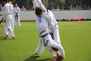 День спорта в День города: сила, мужество и грация (ФОТО)