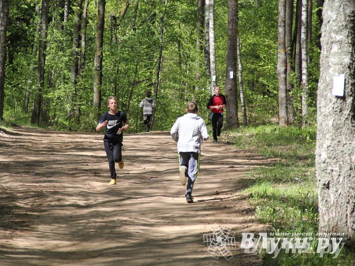 В Великолукском районе прошли массовые соревнований по спортивному ориентированию (фото)