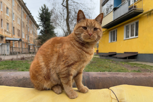 ВЛуки.ру
