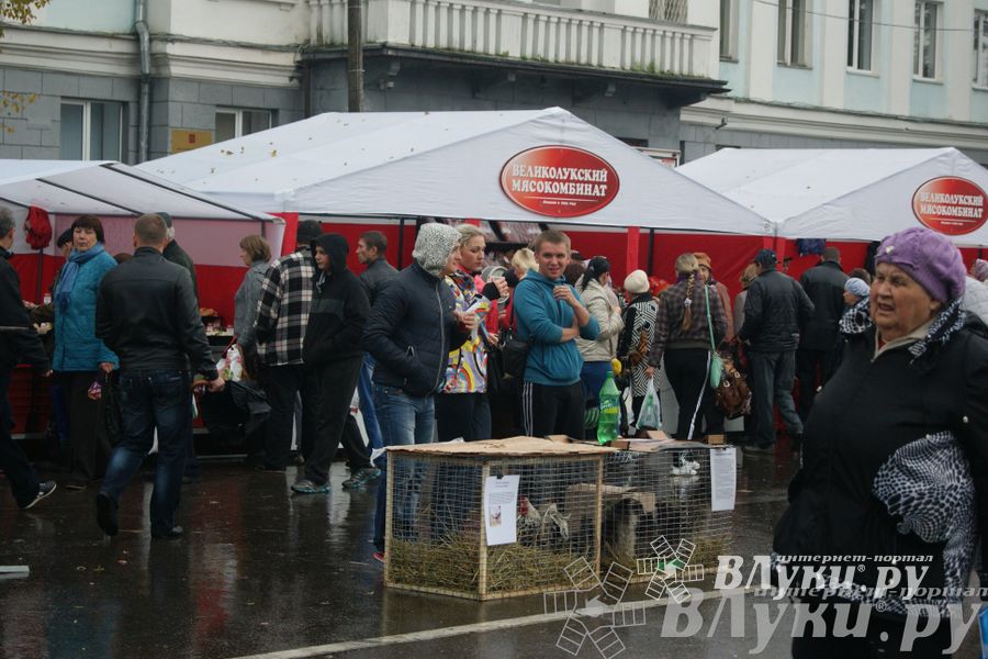 ​Универсальная торговая ярмарка «Осень – 2014» состоялась  в Великих Луках