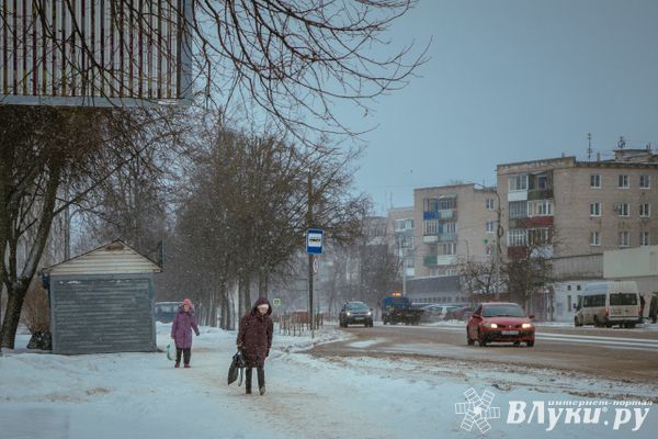 В Псковской области метели с порывами ветра до 17 метров в секунду