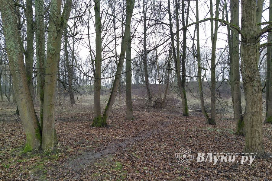 В Великих Луках приступили к строительству парка «Петровский» (ФОТО)